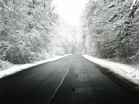 Winter road with some fog Stock Photo - Budget Royalty-Free & Subscription, Code: 400-04526050