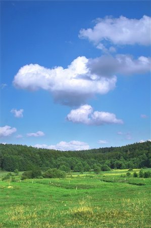 simsearch:400-03984857,k - summer pasture against beautiful sky with cumulus clouds Foto de stock - Super Valor sin royalties y Suscripción, Código: 400-04526069