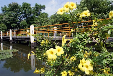 shanin (artist) - Bridge inb japoanese garden in the centre of Manila Stock Photo - Budget Royalty-Free & Subscription, Code: 400-04526271