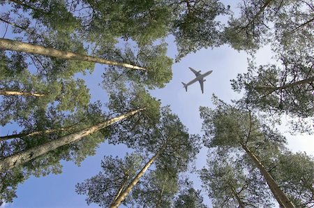 simsearch:400-06070095,k - The plane flies by over forest. Stockbilder - Microstock & Abonnement, Bildnummer: 400-04527281