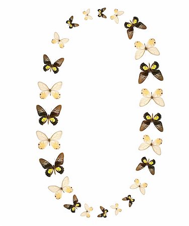 Zero number butterfly show isolated Stock Photo - Budget Royalty-Free & Subscription, Code: 400-04527740