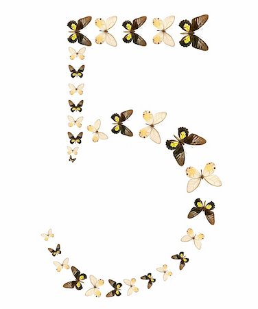 Five number butterfly show isolated Stock Photo - Budget Royalty-Free & Subscription, Code: 400-04527741