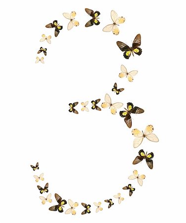 Three number butterfly show isolated Photographie de stock - Aubaine LD & Abonnement, Code: 400-04527800