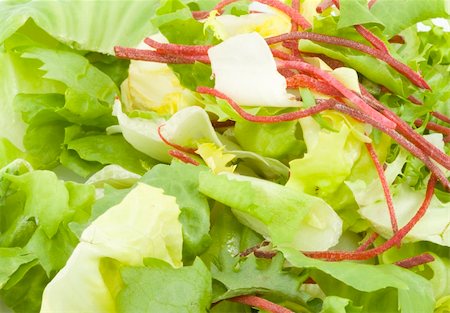 lettuce green salad - healthy eating - vegetables - close up Foto de stock - Royalty-Free Super Valor e Assinatura, Número: 400-04528504