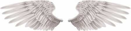 Illustration of a pair of outstretched beautiful white wings Stock Photo - Budget Royalty-Free & Subscription, Code: 400-04528907