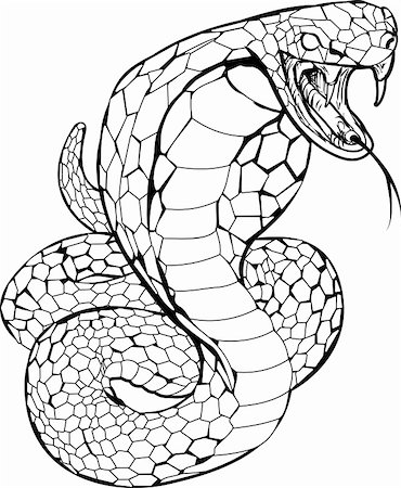 scary snakes - Black and white illustration of a cobra snake preparing to strike Foto de stock - Super Valor sin royalties y Suscripción, Código: 400-04528911