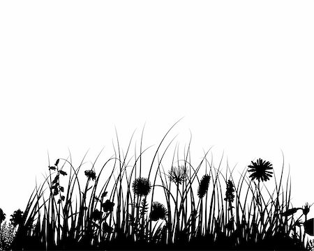 simsearch:400-04595369,k - Grass silhouette ornate on the white background Stockbilder - Microstock & Abonnement, Bildnummer: 400-04529009