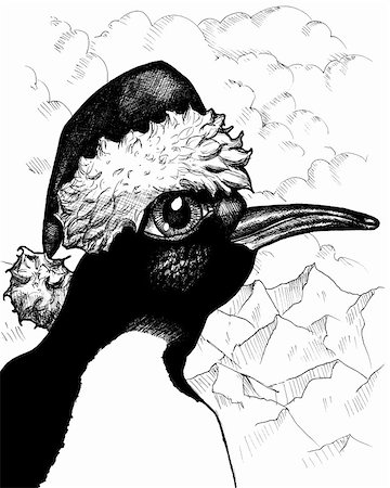 penguin on mountain - Pen and ink illustration of a Christmas penguin Photographie de stock - Aubaine LD & Abonnement, Code: 400-04529016