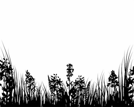 simsearch:400-04595369,k - Grass silhouette ornate on the white background Stockbilder - Microstock & Abonnement, Bildnummer: 400-04529010