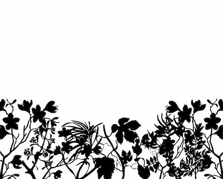 simsearch:400-05663944,k - Grass silhouette ornate on the white background Stock Photo - Budget Royalty-Free & Subscription, Code: 400-04529011