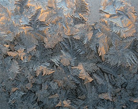 frost window not people - Frost patterns on the window. Winter morning. Stock Photo - Budget Royalty-Free & Subscription, Code: 400-04520118