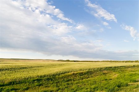 Prairie Lanscape with a vivid sky Stock Photo - Budget Royalty-Free & Subscription, Code: 400-04520826
