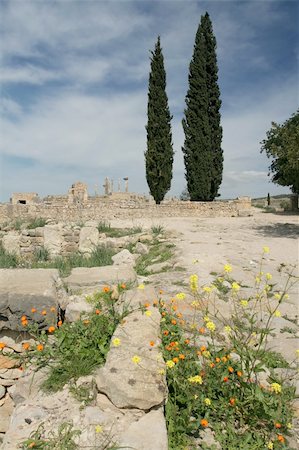 simsearch:400-05891783,k - Volubilis is Roman old city in Morocco, and it is declared a UNESCO World Heritage site. Photographie de stock - Aubaine LD & Abonnement, Code: 400-04521030