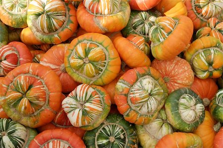 simsearch:400-07089027,k - Pumpkins background Stock Photo - Budget Royalty-Free & Subscription, Code: 400-04521435