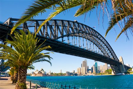 Sydney Harbour ( harbor ) with the Bridge, Opera House and Palm trees in foreground on a perfect blue sky day Stock Photo - Budget Royalty-Free & Subscription, Code: 400-04521664
