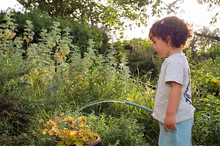 family backyard gardening not barbeque - child watering garden with water hose Stock Photo - Budget Royalty-Free & Subscription, Code: 400-04522017