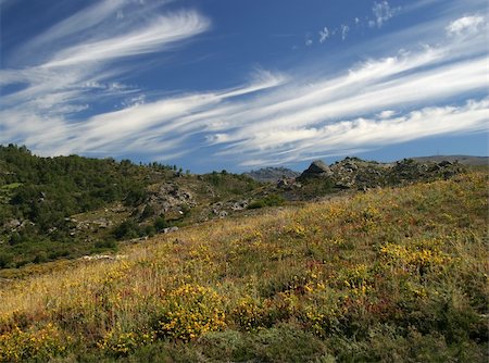 simsearch:400-06918860,k - Beautiful wild landscape in Geres Natural Park, Portugal. Stock Photo - Budget Royalty-Free & Subscription, Code: 400-04523558