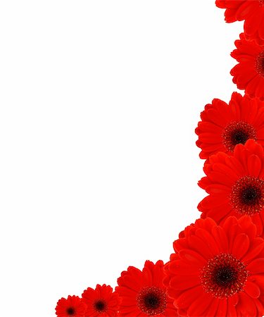 simsearch:400-04010093,k - background formed by several red gerbera flowers Foto de stock - Super Valor sin royalties y Suscripción, Código: 400-04523598