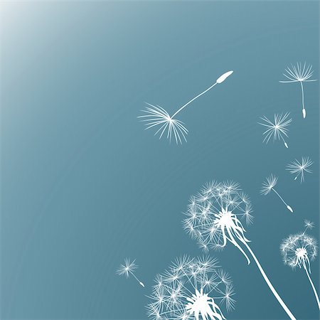 silhouettes of three dandelions in the wind Stock Photo - Budget Royalty-Free & Subscription, Code: 400-04534379