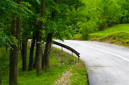 Road in the summer forest Stock Photo - Budget Royalty-Free & Subscription, Code: 400-04535297