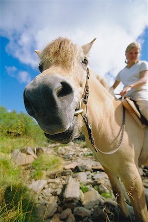 simsearch:400-04034948,k - Young woman on horse Stock Photo - Budget Royalty-Free & Subscription, Code: 400-04535458