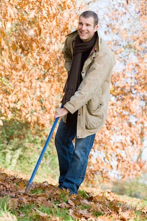 Man tidying autumn leaves with rake Stock Photo - Budget Royalty-Free & Subscription, Code: 400-04535481