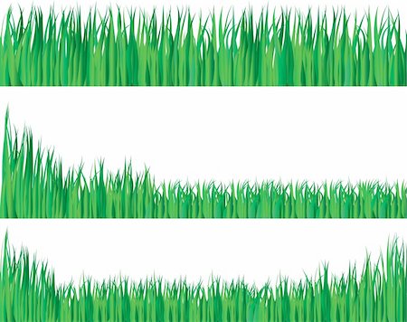 simsearch:400-04525489,k - Set of grass silhouettes ornate on the white background Stock Photo - Budget Royalty-Free & Subscription, Code: 400-04536094