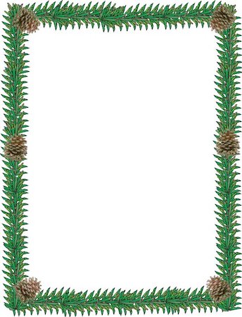 simsearch:400-07614285,k - Evergreen border surrounded with pine cones Stock Photo - Budget Royalty-Free & Subscription, Code: 400-04536974