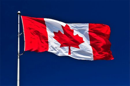 red canadian maple leafs background - Flag of Canada waving in the wind on blue sky background Stock Photo - Budget Royalty-Free & Subscription, Code: 400-04537214