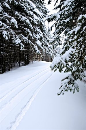 simsearch:400-04014691,k - Winter landscape with snowy trees and snowmobile path Stock Photo - Budget Royalty-Free & Subscription, Code: 400-04537258