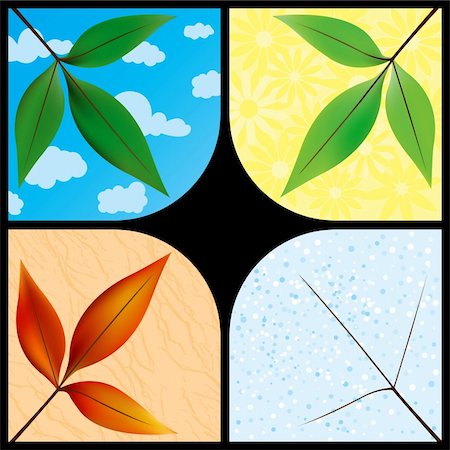 four seasons color - Leaves through the seasons Stock Photo - Budget Royalty-Free & Subscription, Code: 400-04537526