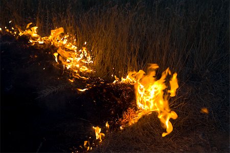 simsearch:400-05384715,k - Farmers doing a seasonal burning of the prairie Stockbilder - Microstock & Abonnement, Bildnummer: 400-04537616