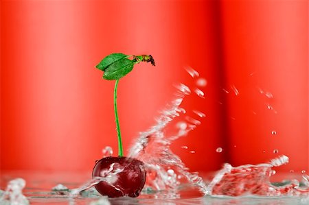 Close up view of nice red fresh  cherry on pink back Stock Photo - Budget Royalty-Free & Subscription, Code: 400-04538502