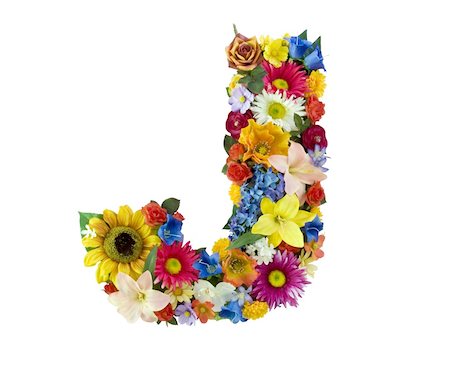 Letter J made of flowers isolated on white background Stockbilder - Microstock & Abonnement, Bildnummer: 400-04539345