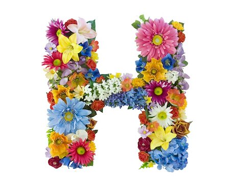 Letter H made of flowers isolated on white background Stockbilder - Microstock & Abonnement, Bildnummer: 400-04539343