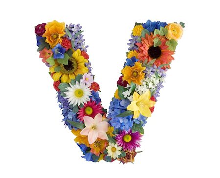 Letter V made of flowers isolated on white background Stockbilder - Microstock & Abonnement, Bildnummer: 400-04539357