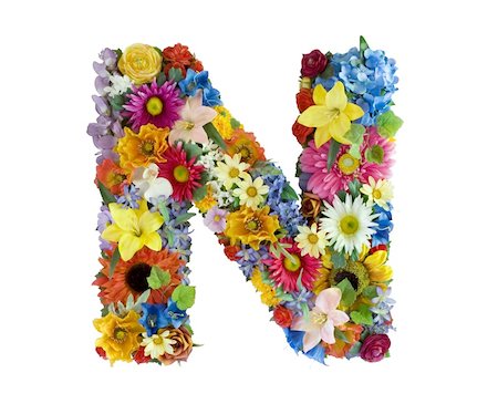 Letter N made of flowers isolated on white background Stockbilder - Microstock & Abonnement, Bildnummer: 400-04539352