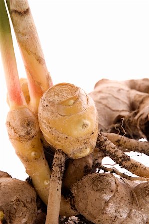 simsearch:400-04134733,k - fresh ginger root. plant isolated on the white background Foto de stock - Royalty-Free Super Valor e Assinatura, Número: 400-04539432
