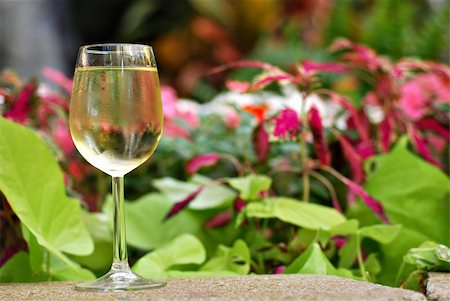 Glass of white wine set in a tropical garden Stock Photo - Budget Royalty-Free & Subscription, Code: 400-04539971