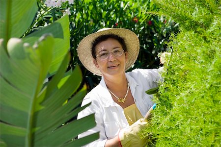 simsearch:400-04029831,k - Portrait of senior Italian woman gardening, looking at camera Fotografie stock - Microstock e Abbonamento, Codice: 400-04531025