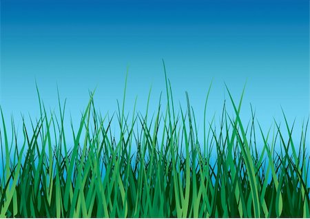 Green grass on blue sky background. Vector illustration. Stock Photo - Budget Royalty-Free & Subscription, Code: 400-04531337