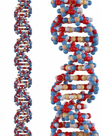 simsearch:671-02101873,k - Highly detailed rendering of a DNA strand. Foto de stock - Royalty-Free Super Valor e Assinatura, Número: 400-04532713