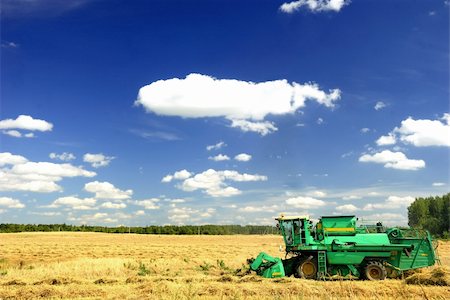 combine harvester working a wheat field Stock Photo - Budget Royalty-Free & Subscription, Code: 400-04532744