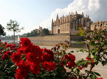 palma de mallorca cathedral - Cathedral La Seu in Palma de Mallorca, Spain. This church is one of the famous landmarks of Mallorca (Majorca). In the foreground red roses at Park del Mar with the salt water lake and sailing ships. On the left side you can see the spanish kings palace Palau de l'Almundia Photographie de stock - Aubaine LD & Abonnement, Code: 400-04533157