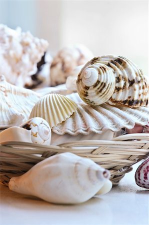 simsearch:400-04406446,k - Several various seashells in a basket close up Stock Photo - Budget Royalty-Free & Subscription, Code: 400-04533489
