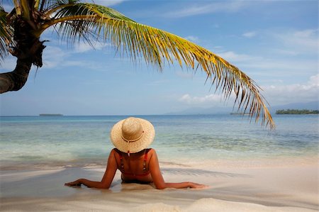 Woman sunbathing under a coconut palm leaf on a paradise island Stock Photo - Budget Royalty-Free & Subscription, Code: 400-04533482