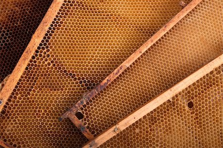 natural honey texture without honey (abstract background) Stock Photo - Budget Royalty-Free & Subscription, Code: 400-04533503