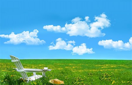 simsearch:400-04854713,k - White wooden chair and straw hat in a field of dandelions Stock Photo - Budget Royalty-Free & Subscription, Code: 400-04544274