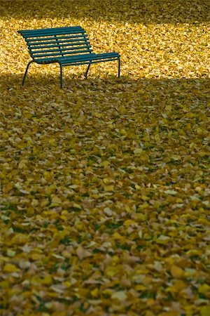 simsearch:400-04743104,k - An empty green bench with a lot of yellow leafs laying in the grass Stockbilder - Microstock & Abonnement, Bildnummer: 400-04545265