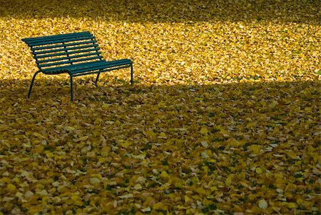 simsearch:400-04743104,k - An empty green bench with a lot of yellow leafs laying in the grass Stockbilder - Microstock & Abonnement, Bildnummer: 400-04545266